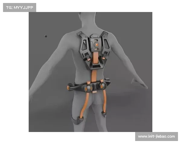 举重器材供应商如何应对新重量标准变化并优化产品设计与服务